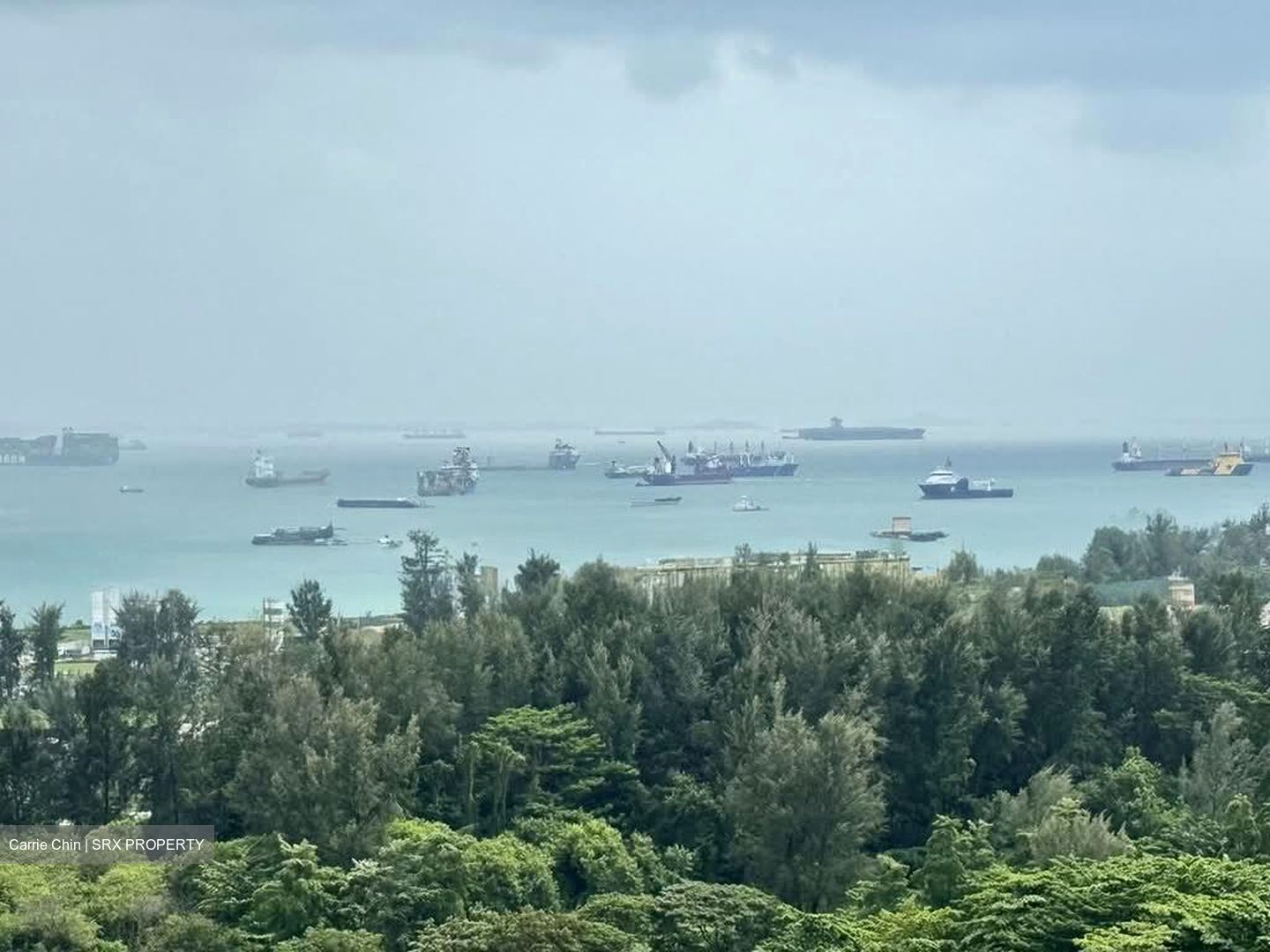 The Line @ Tanjong Rhu (D15), Condominium #579792391